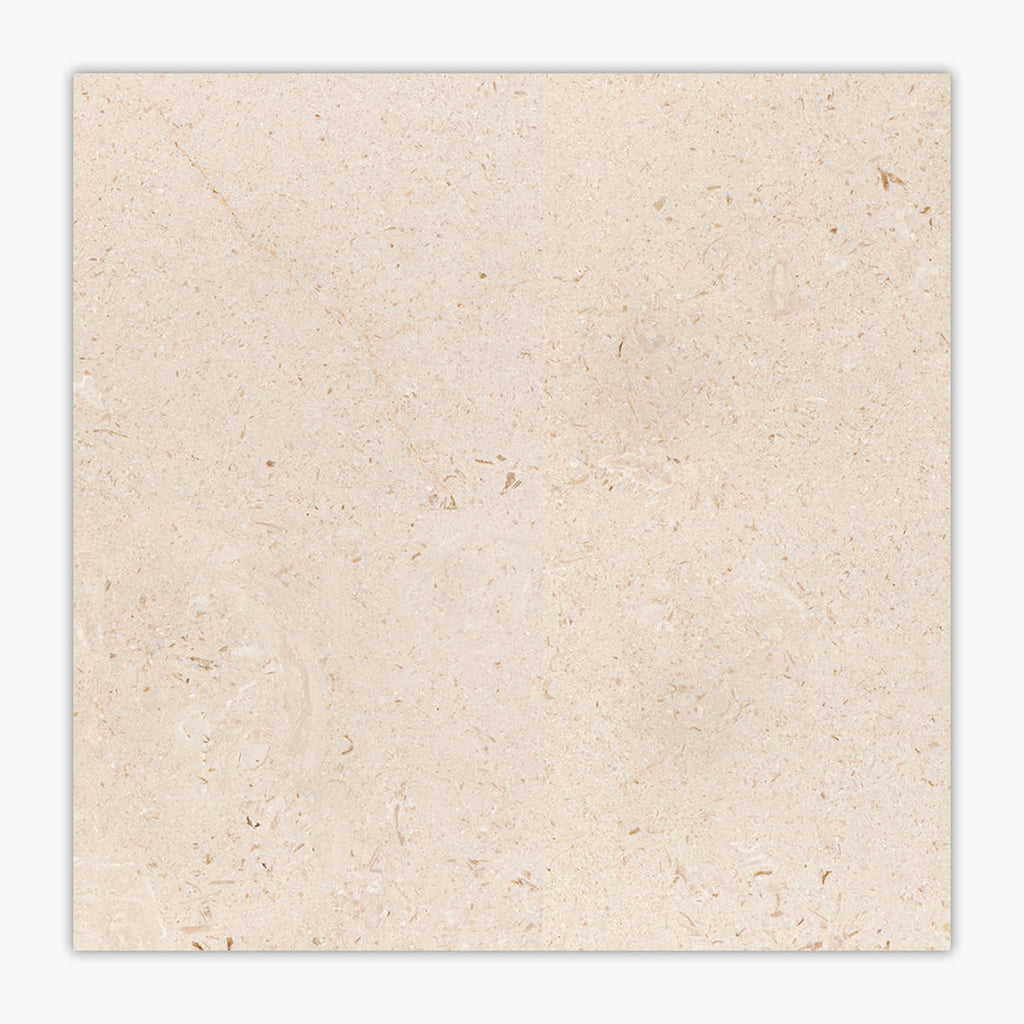 Desert Path Brushed 24x24 Limestone Tile