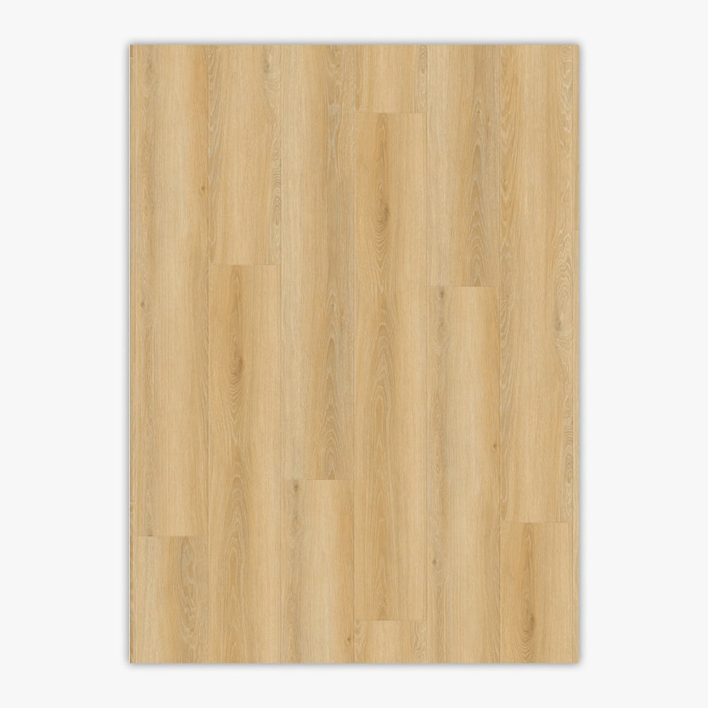 BenNevis Ultra Clean 9x60 Vinyl